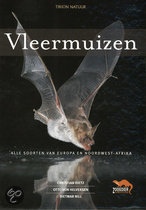 VLEERMUIZEN