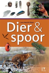 DIER & SPOOR