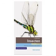 INSECTEN